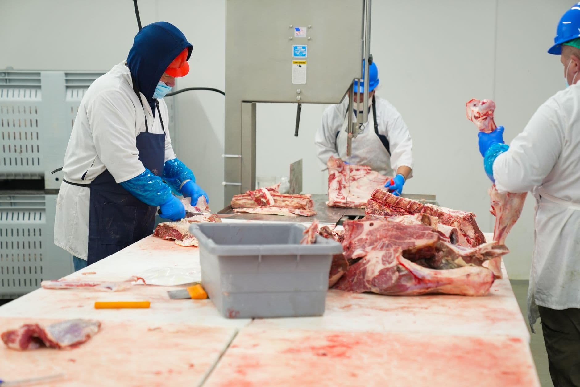 meat processing factory worker